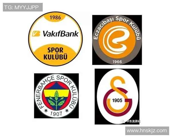 南京排球队排球战术与欧冠足球控制体系的深度解析与对比研究